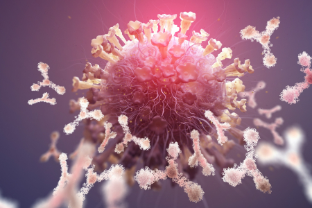 antibody promise 450 x 300